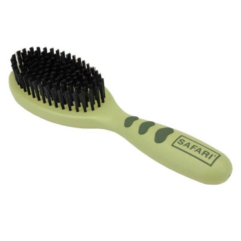 Coastal Safari Bristle Dog Brush - Gentle Grooming Brush for All Coat Types - Removes Dog Hair & Offers Natural Oil Distribution - Small - Image 1