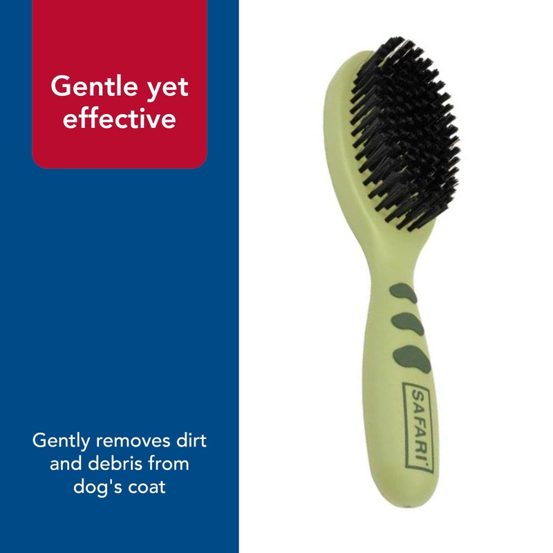 Coastal Safari Bristle Dog Brush - Gentle Grooming Brush for All Coat Types - Removes Dog Hair & Offers Natural Oil Distribution - Small - Image 5