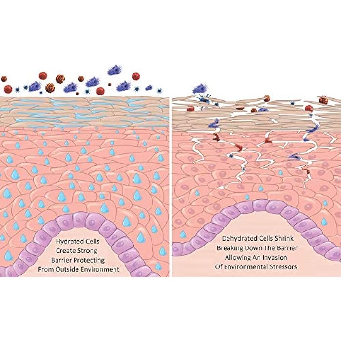AminoGenesis Therapeutic Facial Repair w/SYTHE'6 1.7 oz Anti Aging, Moisturizer, Peptide, Amino Acids, Collagen, Elastin, Wrinkle, Dark Spot, Dry, All Skin Type Cream, Skin Renewing - Image 5