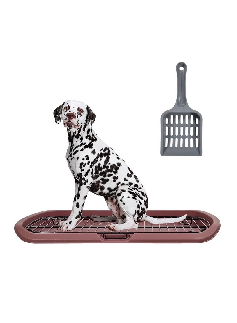 أن ان سي بيتس مرحاض للكلاب مع شبكة حديدية متينة، ومقبض حمل، ومغرفة قمامة، ومدرب داخلي قابل للفصل للكلاب المتوسطة إلى الكبيرة، مرحاض مسطح للكلاب، مثالي للاستخدام الداخلي والخارجي 65 سم (شوكولاتة) - Image 1