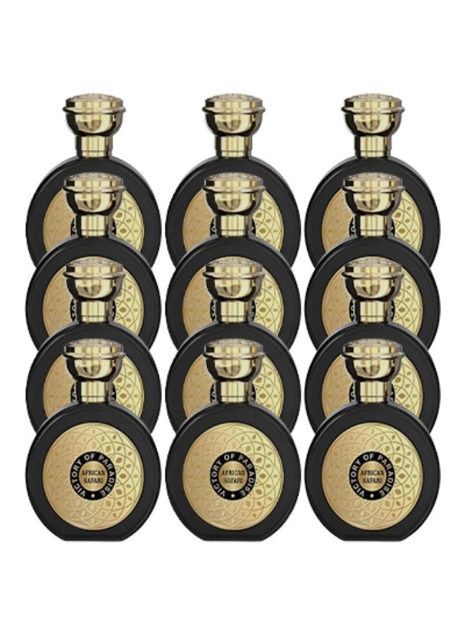 Milestone 12 Pieces Victory Of Paradise African Safari Perfume For Unisex 100ml EDP - Image 1