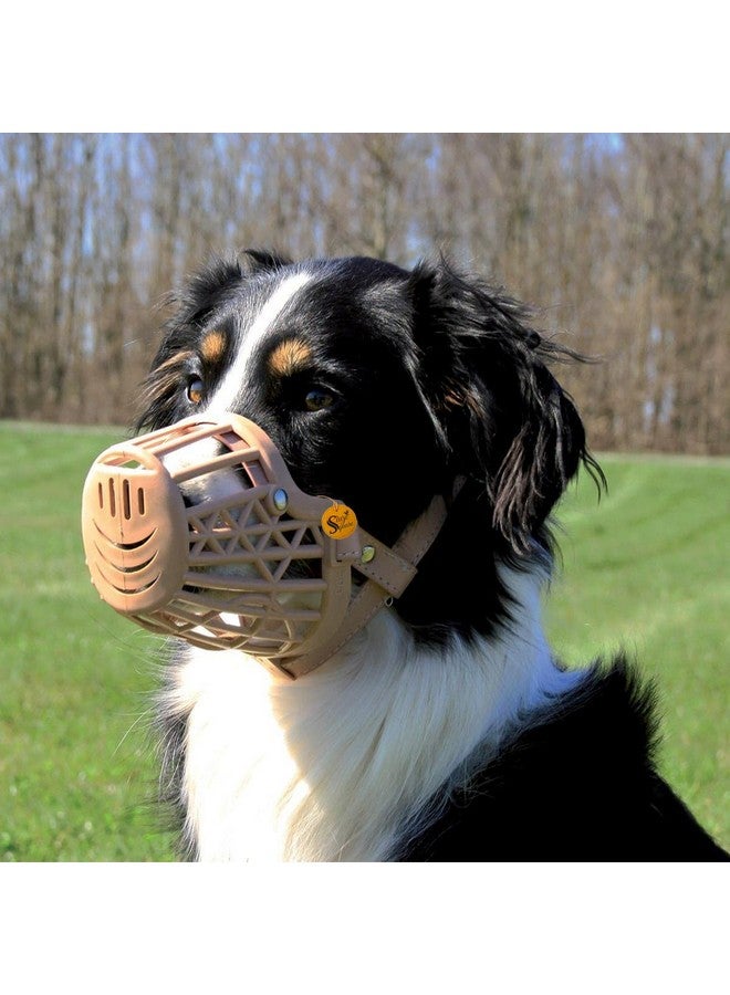 Sage Square Muzzle For Dogs | Plastic Dog Muzzle | Anti Bite Adjustable Pet Basket | Dogs Training Mouth Cover Mesh Cage | Breathable Comfortable | Pack Of 1 (Small) - Image 5