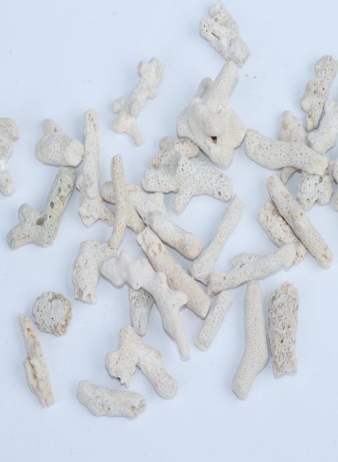 AnRui Natural Crushed Coral for Freshwater Aquarium, for Aquarium gh Corals to Raise ph in Freshwater Fish Tank Filter Media, 500g/1.1lb - Image 2