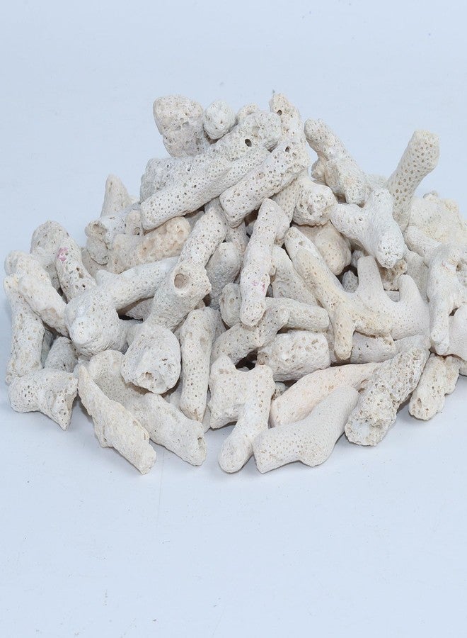 AnRui Natural Crushed Coral for Freshwater Aquarium, for Aquarium gh Corals to Raise ph in Freshwater Fish Tank Filter Media, 500g/1.1lb - Image 3