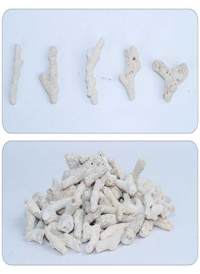 AnRui Natural Crushed Coral for Freshwater Aquarium, for Aquarium gh Corals to Raise ph in Freshwater Fish Tank Filter Media, 500g/1.1lb - Image 4