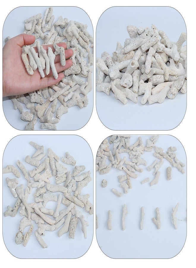 AnRui Natural Crushed Coral for Freshwater Aquarium, for Aquarium gh Corals to Raise ph in Freshwater Fish Tank Filter Media, 500g/1.1lb - Image 5