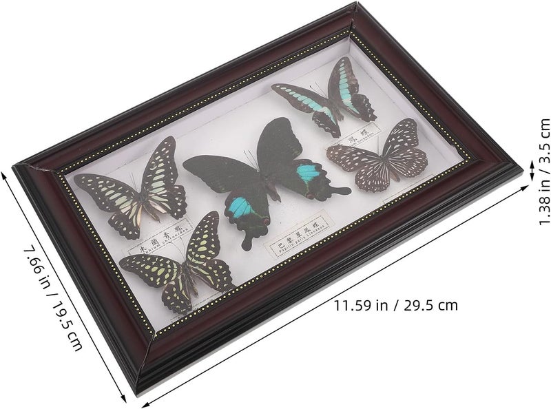 Arabest Butterfly Specimen Shadow Box: Vintage Butterfly Display Frame - Botanical Specimen Photo Frame for Natural History Wall Art and Farmhouse Home Decor - Image 2