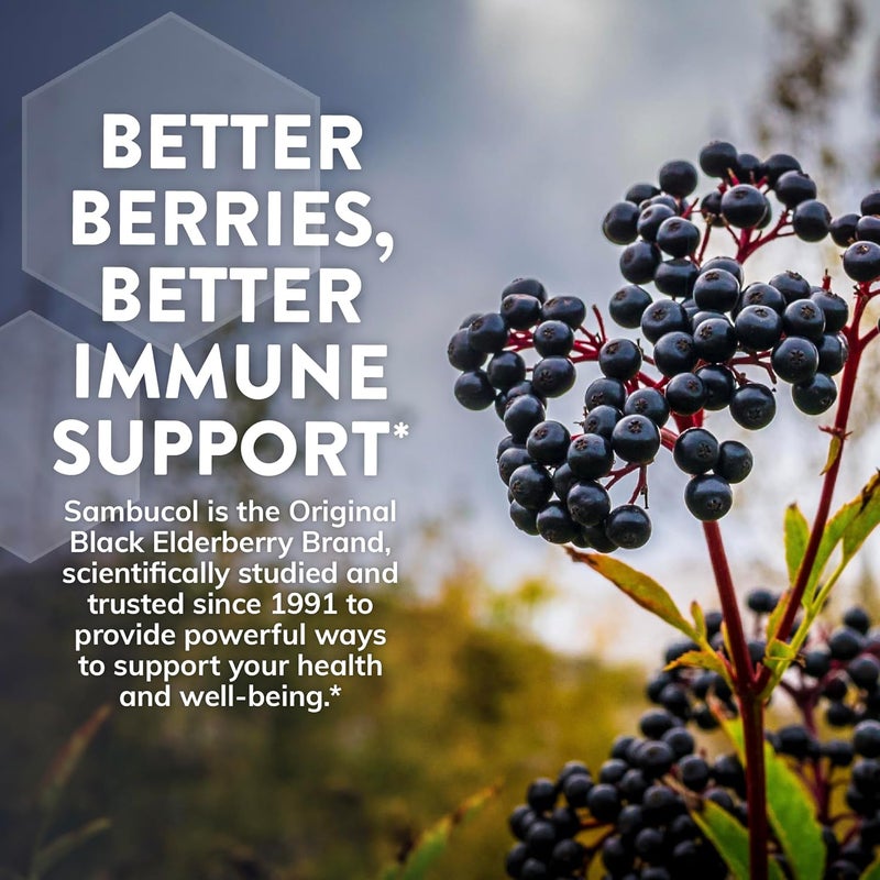 Sambucol Black Elderberry Cough Relief Lozenges Cough Drops for Adults Sambucus Elderberry Lozenges with Ivy Leaf Cough Mucus Relief Immune Support Berry Eucalyptus 24 Count 2 Pack - Image 5