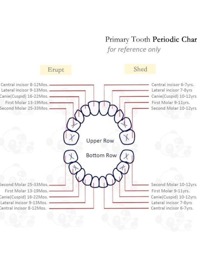 PEAK Wooden Boy And Girl Tooth Storage Box Kidsren's Tooth Box Souvenir Lanugo Umbilical Cord Collection Box Deciduous Tooth Storage House - Image 4