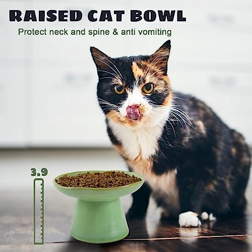 LOVINFURBABY Wide Shallow 6.1" Raised Cat Bowls, Ceramic Elevated Food Bowl for Flat Faced Cats and Small Dogs, Porcelain Feeder Bowl, Stress Free, Protect Cat’s Spine, Green - Image 5