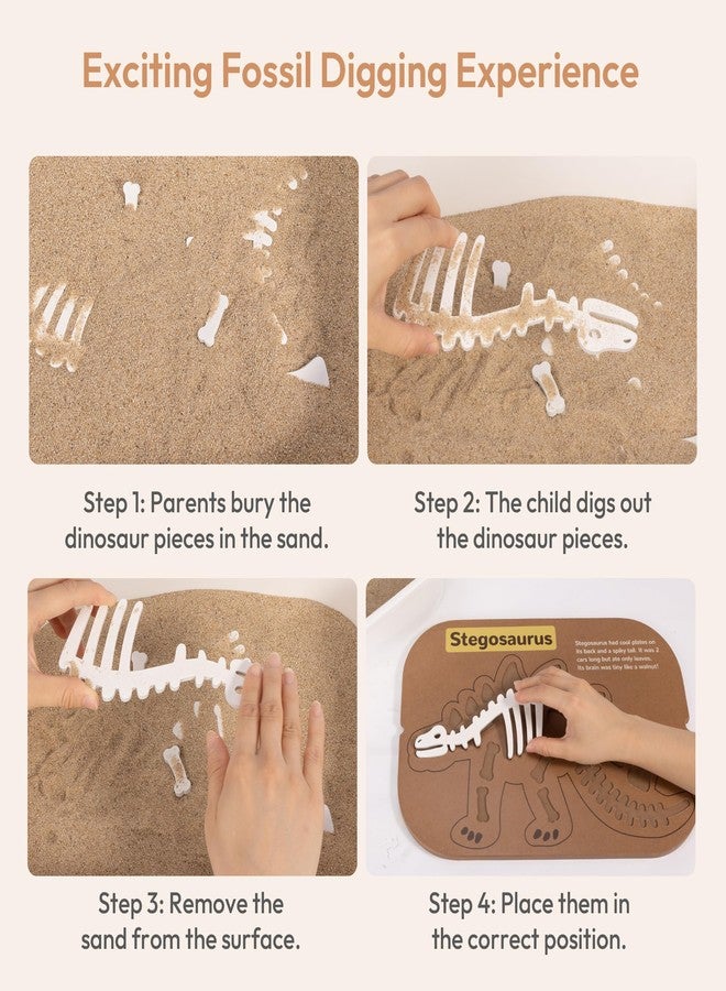 Woodtoe 2 PCS Dinosaur Sensory Table Inserts, Double-Sided Dinosaurs Puzzle for Flisat Trofast, 3D Wooden Dinosaur Puzzle, Sensory Sand & Water Table Accessories, Science Toys STEM Kits for Kid Age 3+ - Image 5