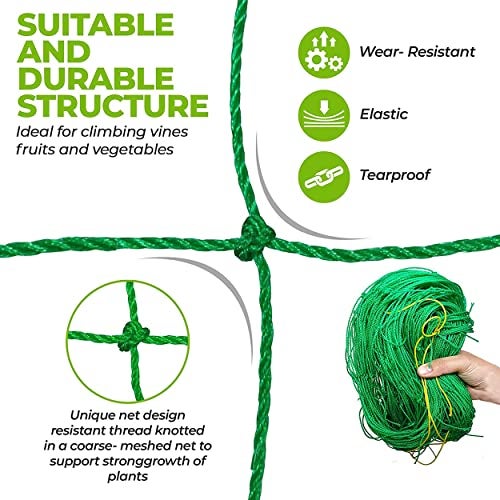 WNE Jaliwale Plant Climbing net & Creeper Net & Plant Trellis Net Plant Support Net Green Color for Agriculture and Gardening Net - 6Feet x 12Feet - Image 3