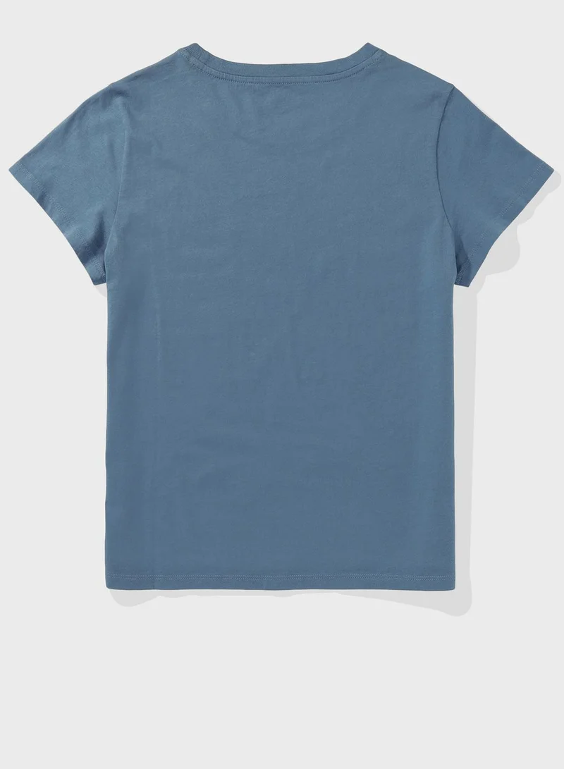 American Eagle Graphic Crew Neck T-Shirt