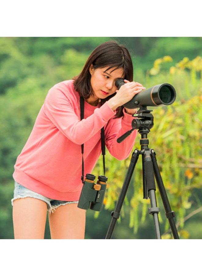 Bosma Golden Tiger 2nd Generation 20-60x80 Monocular High-power Zoom Birdwatching Telescope - Image 3