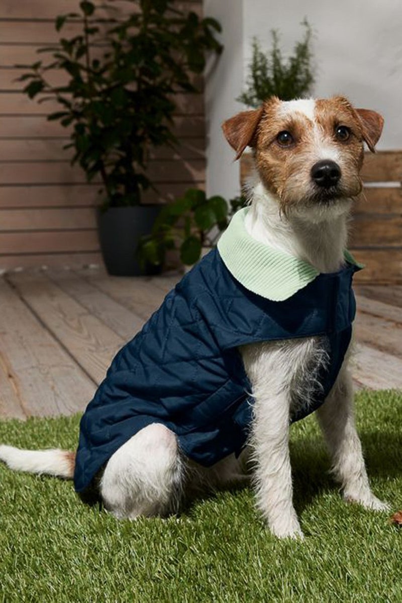 Tchibo Padded Vest Lift Dog Jacket, Pale Blue  - Image 1