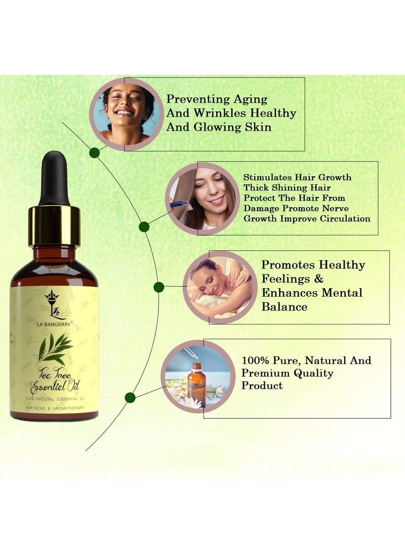 LA'BANGERRY LABANGERRY Tea Tree Bergamot Essential Oil Combo for Home Fragrance Aromatherapy Skin Hair Diffuser Candle Making Massage Oil with Dropper for Relaxation and Soothe Muscles Each 30 ml Pack Of 2  - Image 5