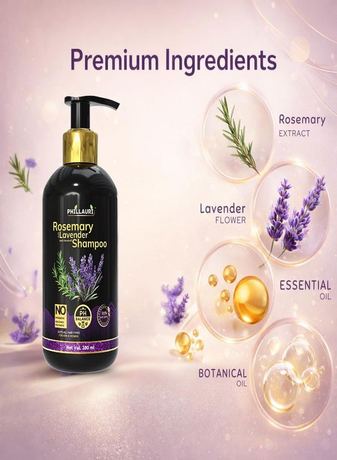 Phillauri شامبو إكليل الجبل لتنظيف الشعر يومياً | تركيبة تنظيف لطيفة لشعر ناعم ولامع | مناسب لجميع أنواع الشعر - (عبوة من قطعتين) - Image 2