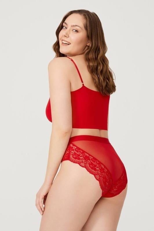 COTTONHILL Lace Transparent Back Plus Size Bikini Panties 3-Pack-2  - Image 3