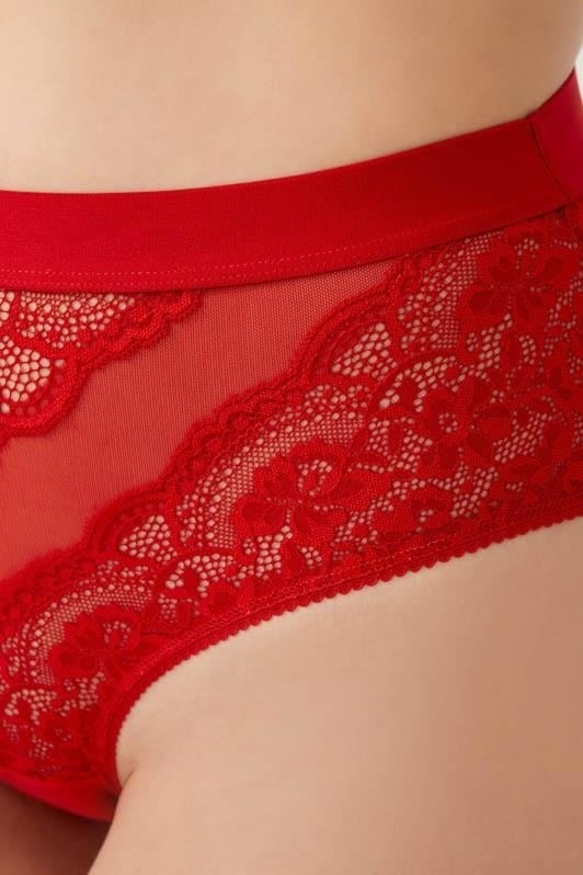 COTTONHILL Lace Transparent Back Plus Size Bikini Panties 3-Pack-2  - Image 4