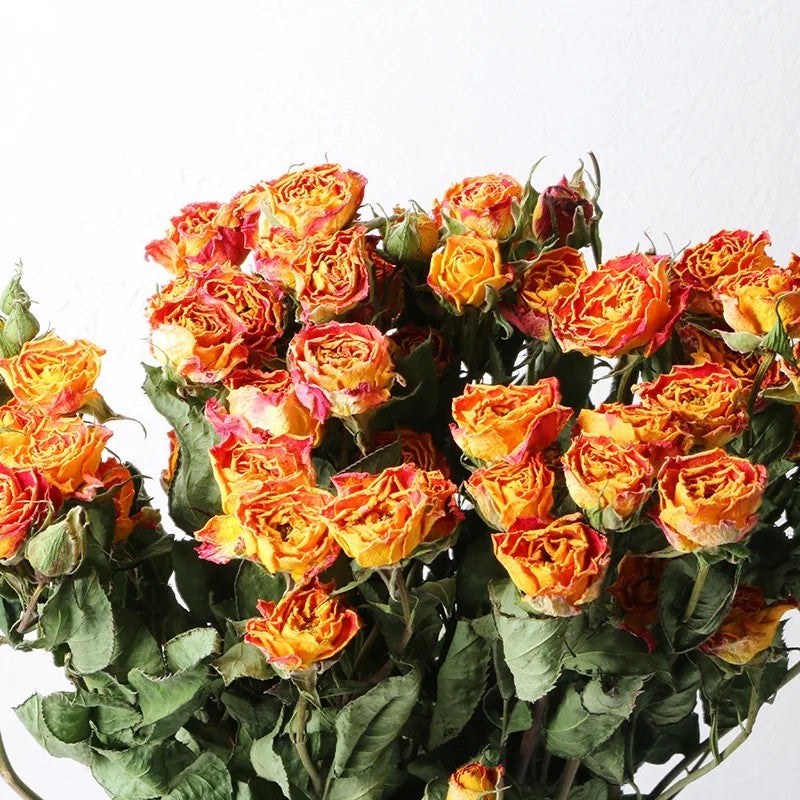 Bluejw Natural Dried Rose Buds with Stem - Wedding Bouquet, Real Dried Rose Flower Bouquets, Decorative Dried Plants - Image 1