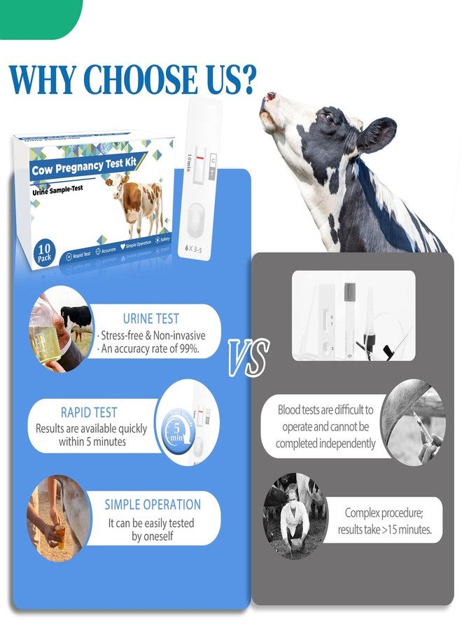 Cow Pregnancy Test Kit: 10 Pack Bovine Pregnancy Test Strips, Fast & Painless Urine Test for Early Detection, Results in 5-10 Minutes, Ideal for Professional Herd Management and Small Farms - Image 4