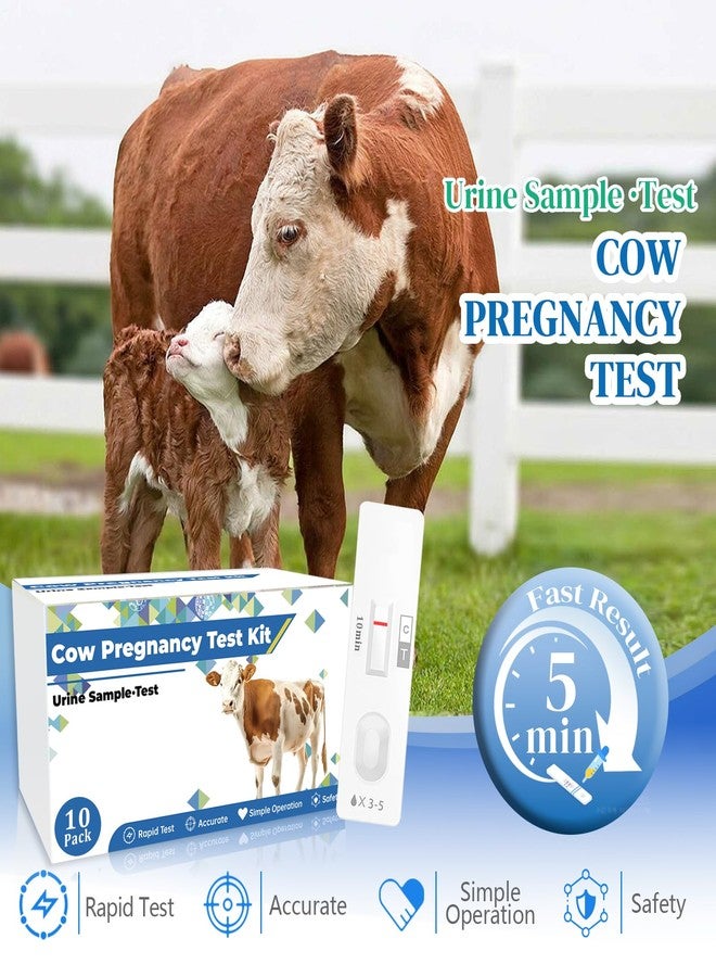 Cow Pregnancy Test Kit: 10 Pack Bovine Pregnancy Test Strips, Fast & Painless Urine Test for Early Detection, Results in 5-10 Minutes, Ideal for Professional Herd Management and Small Farms - Image 2