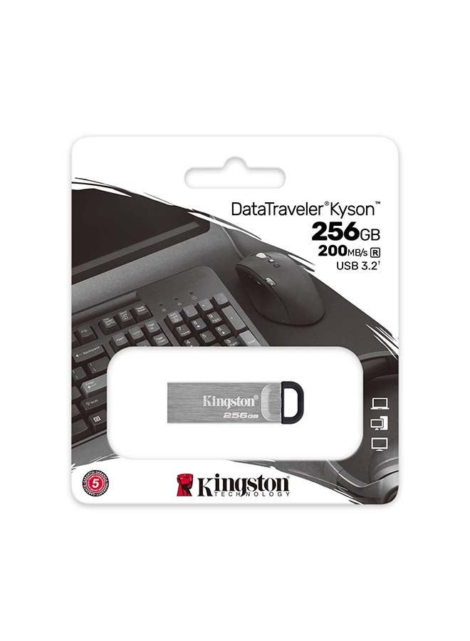 كينغستون فلاش درايف داتا ترافلر كايسون من الجيل الأول سعة 256 جيجابايت ومنفذ USB 3.2 - Image 3