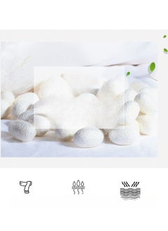 Generic Women's Mulberry Silk Scarf  - Image 4