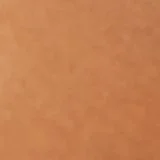 American Eagle AEO Raw Edge Leather Belt