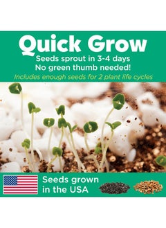 Creativity for Kids Creativity for Kids Grow 'N Glow Terrarium Kit for Kids - Educational Science Kits Ages 6-8+, Kids Gifts for Boys and Girls, Craft and STEM Projects  - Image 5