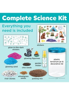 Creativity for Kids Creativity for Kids Grow 'N Glow Terrarium Kit for Kids - Educational Science Kits Ages 6-8+, Kids Gifts for Boys and Girls, Craft and STEM Projects  - Image 4
