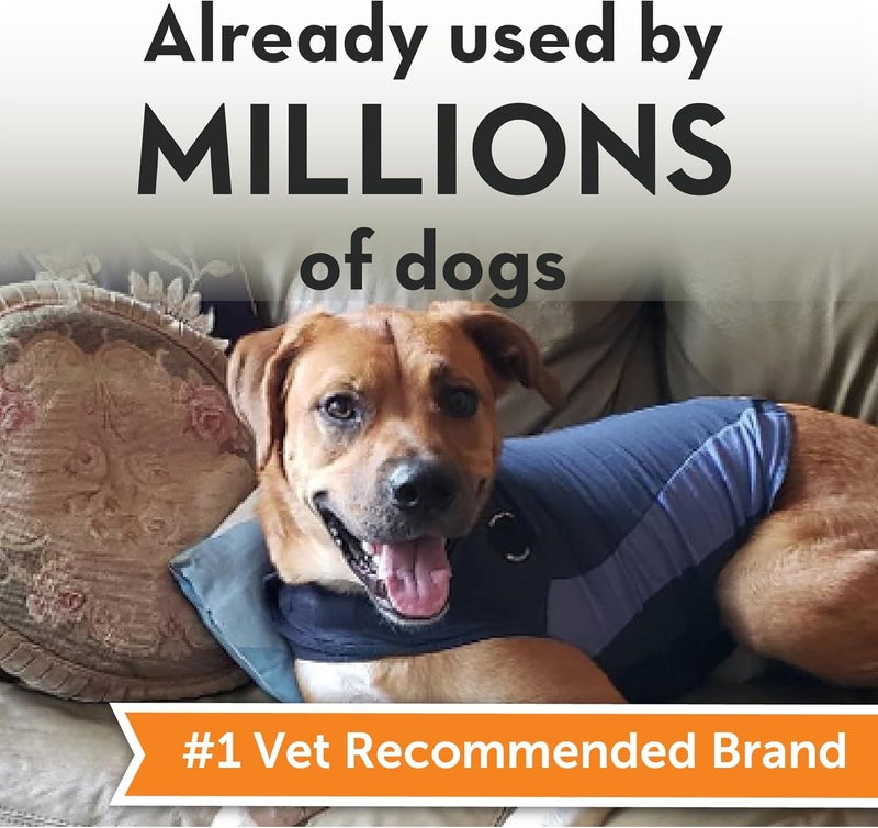 ThunderShirt for Dogs, X Large, Blue Polo - Dog Anxiety Relief Calming Vest - Image 2