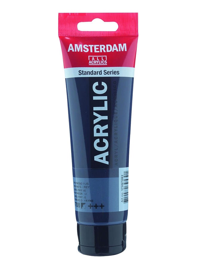 Amsterdam ACRY.Paint Payne Grey, 120 ml (Pack of 1)