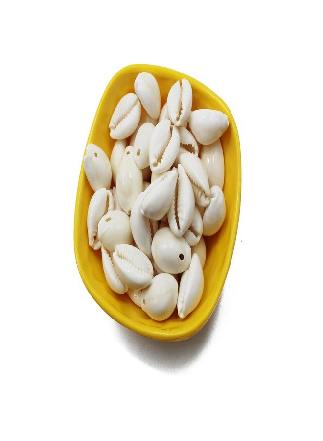 Artify | Natural White Sea Shell/Kowri/Kodi (Pack of 50, 20mm) for Craft, Jewllery, Bracelet, Rakhi, Laxmi and Diwali Pooja, Embroidery Work - Image 1