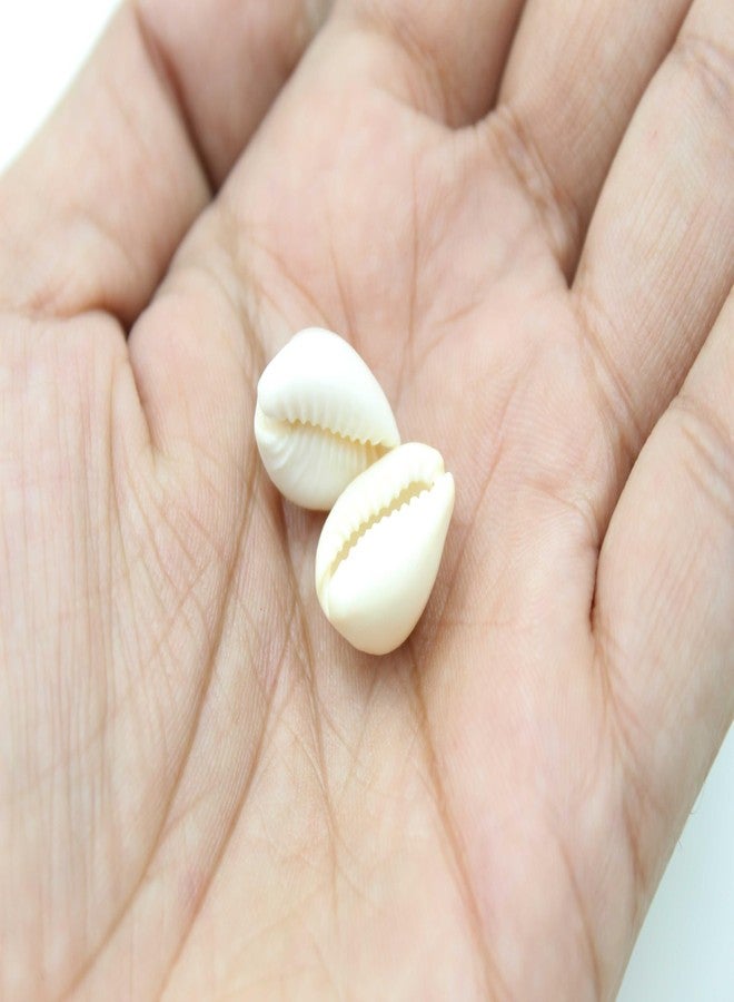 Artify | Natural White Sea Shell/Kowri/Kodi (Pack of 50, 20mm) for Craft, Jewllery, Bracelet, Rakhi, Laxmi and Diwali Pooja, Embroidery Work - Image 3