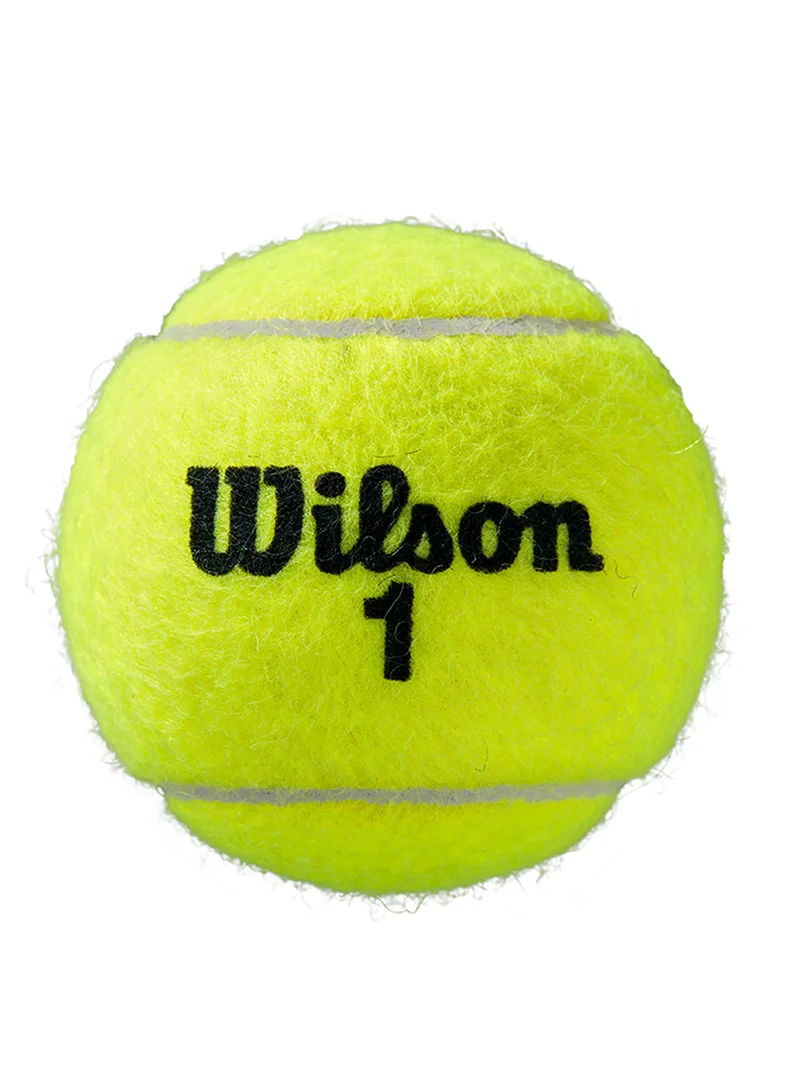 Wilson Yellow Roland Garros Clay Court Yellow Tennis Balls - 3 Ball Can  | Best Price UAE