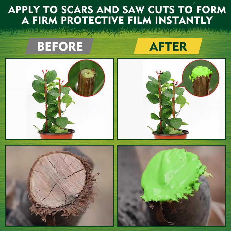 Yeardera Tree Wound Sealer, Tree Pruning Sealer, Grafting, Pruning, and Wound Care for Damaged Trees, Used for Natural Wound Repair of Bonsai, Fruit Trees, Roses, and Bonsai, Waterproof Protection - Image 3