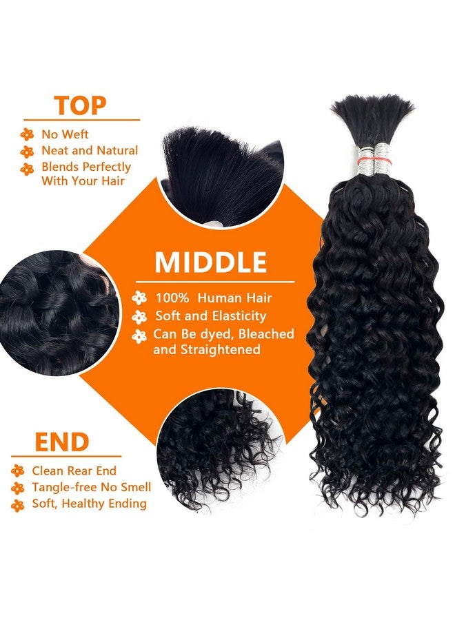 Forevermore Human Braiding Hair Water Wave Bulk Human Hair For Braiding No Weft Wet And Wavy Human Hair Braiding Hair Extensions For Boho Braids 2 Bundles Human Hair Per Pack 100G (20Inch Natural Black) - Image 2