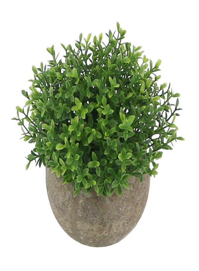 أوغرمار نباتات بلاستيكية صناعية صغيرة من أوغرمار في أصيص / شجيرات صغيرة مزخرفة، نباتات خضراء صناعية للحمام، ديكورات المنزل (عشب أخضر) - Image 2