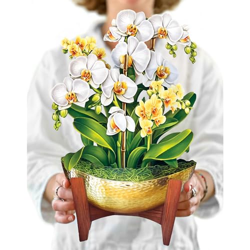 Freshcut Paper Pop Up Cards, Serenity Orchid, 12 Inch Life Sized Forever Flower Bouquet 3D Popup Greeting Card, Birthday Cards, Get Well Gifts, Blank Notecard & Envelope - Image 1