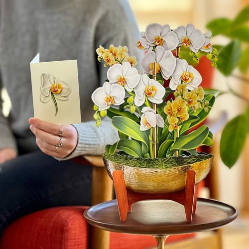 Freshcut Paper Pop Up Cards, Serenity Orchid, 12 Inch Life Sized Forever Flower Bouquet 3D Popup Greeting Card, Birthday Cards, Get Well Gifts, Blank Notecard & Envelope - Image 3