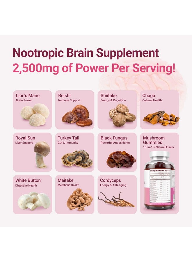 Purify Life أول حلوى معقدة من الفطر في العالم - مكمل فطر 10x مع ليوز مان (90 مضغوط 2500 ملغ/حصّة) مكمل دماغي نوتروبيك، دعم المناعة وتخفيف التوتر - استبدل الحبوب والكبسولات - Image 4