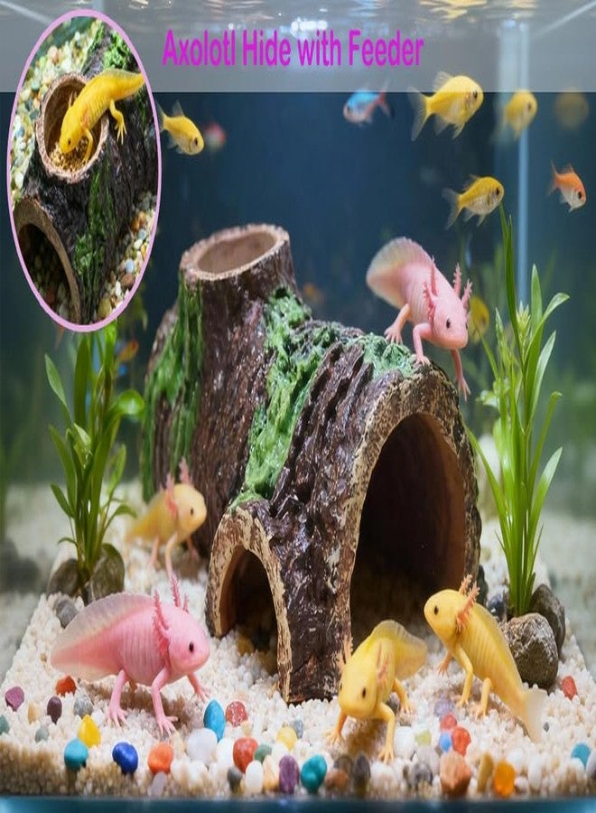 Fejapa 10-Piece Axolotl Habitat Enrichment Set with Hammock, Hideout, Floating Ball, Float Net, Entertain Rings, Nylon Mesh with Suction Cup for Fish Tank Axolotl Hide for Aquarium - Image 4