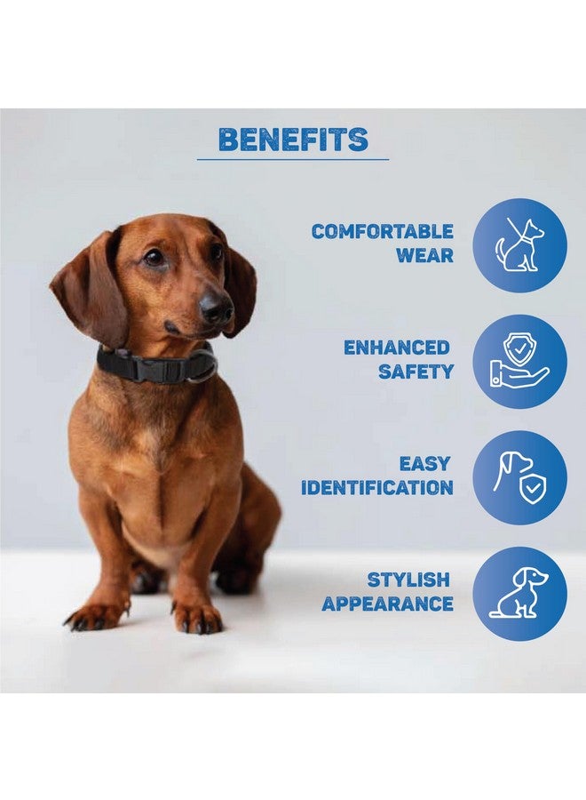 تريكسي طوق كلاسيكي، طوق كلاب من النايلون قابل للتعديل مع مشبك بلاستيكي للإغلاق، متين ومقاوم للتمزق، مفيد في التدريب الأساسي لكلبك - (30-45 سم/15 مم، SM)، أسود (عبوة من 3 قطع) - Image 5