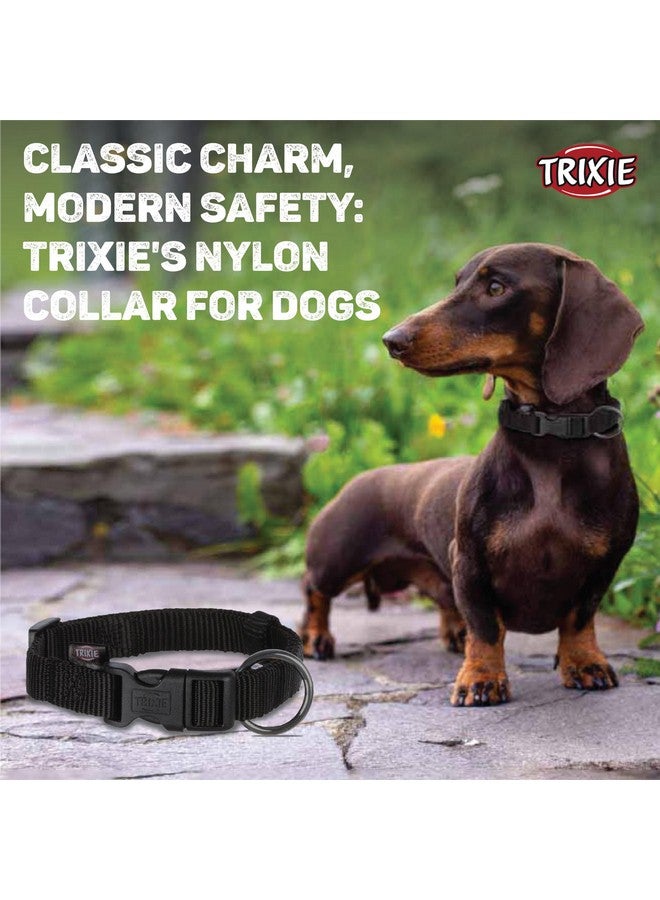 تريكسي طوق كلاسيكي، طوق كلاب من النايلون قابل للتعديل مع مشبك بلاستيكي للإغلاق، متين ومقاوم للتمزق، مفيد في التدريب الأساسي لكلبك - (30-45 سم/15 مم، SM)، أسود (عبوة من 3 قطع) - Image 2