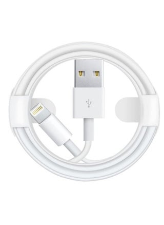 100 سم كابل شحن آيفون، كابل Lightning عالي السرعة للشحن السريع ومزامنة البيانات، متوافق مع iPhone 13/12/11 Pro Max وXS Max وXR وXS وX و8 و7 Plus و6s وiPad - pzsku/ZA56FF43733D6EF14FDFCZ/45/_/1729335226/567c466e-37d2-44b2-9523-3538e9aed78c