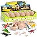 DODOMAGXANADU Dinosaur EggsDig a Dozen Dino Egg Kit for Kids Dinosaur Toys Gift for Boys 312 Year Old 12 Dino Eggs Dig Excavation Kit Easter Basket Stuffers STEM ActivitiesParty Gifts for Boys Girls - Image 3