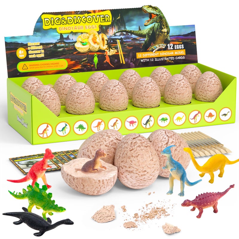 DODOMAGXANADU Dinosaur EggsDig a Dozen Dino Egg Kit for Kids Dinosaur Toys Gift for Boys 312 Year Old 12 Dino Eggs Dig Excavation Kit Easter Basket Stuffers STEM ActivitiesParty Gifts for Boys Girls - Image 2