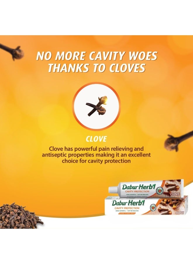 دابر معجون أسنان دابور العشبي بخلاصة القرنفل لحماية الأسنان من التسوس، ٤ عبوات × ١٠٠ غرام | مُدعّم بالقرنفل وخالٍ من المواد الكيميائية | لأسنان قوية خالية من التسوس | عبوة من ٤ قطع - Image 3