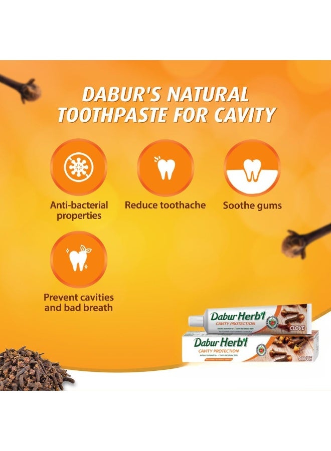 دابر معجون أسنان دابور العشبي بخلاصة القرنفل لحماية الأسنان من التسوس، ٤ عبوات × ١٠٠ غرام | مُدعّم بالقرنفل وخالٍ من المواد الكيميائية | لأسنان قوية خالية من التسوس | عبوة من ٤ قطع - Image 4
